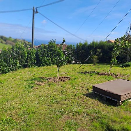Casa Pyrrhula Murina - Private Jacuzzi Nordeste  Dış mekan fotoğraf