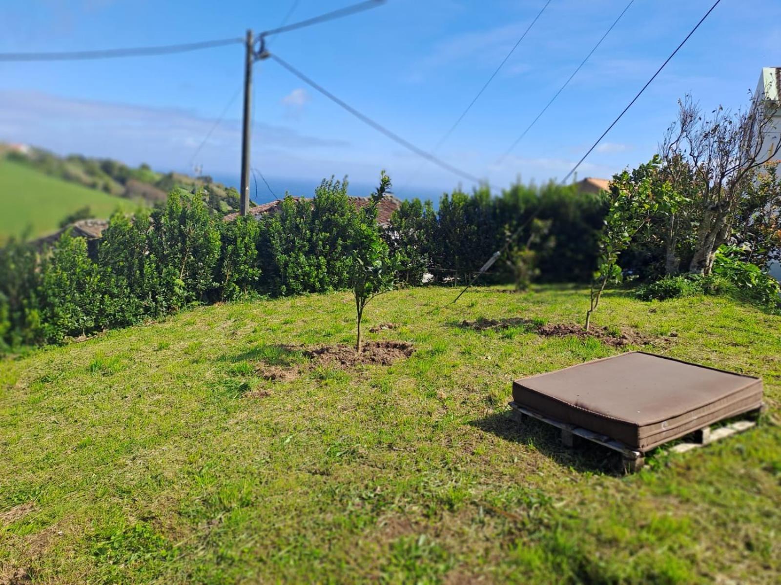Casa Pyrrhula Murina - Private Jacuzzi Nordeste  Dış mekan fotoğraf